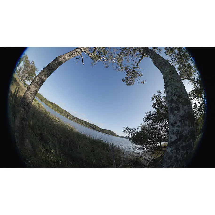 Canon  RF 7-14MM f/2.8-3.5L Lente Ojo de Pez Zoom Montura RF Full-Frame 14