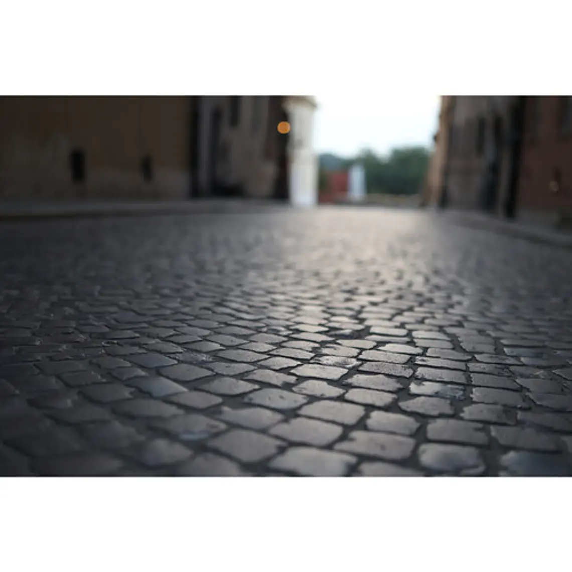 Canon  RF 50MM f/1.4L VCM  Lente Muy Luminoso Full-Frame Montura RF 9