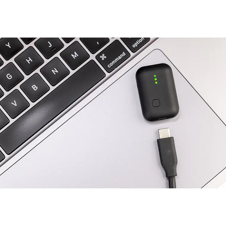 Zoom Instamic Pro Plus C Micrófono y Grabador de Audio (Stereo/Mono) 16