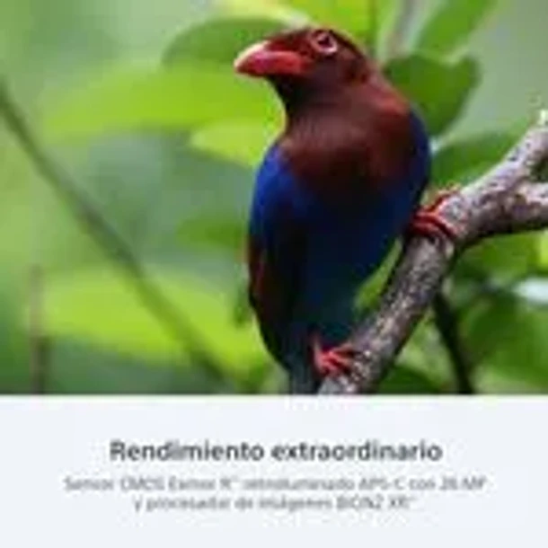 Sony a6700 premium Cámara APS-C con montura E + lente 16-50mm f3.5-5.6 OSS II - ILCE-6700K E38 8