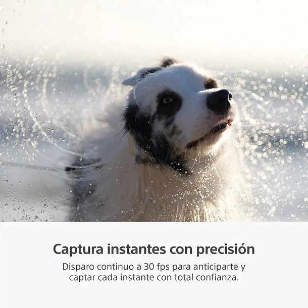 Sony A7 V Cámara Híbrida Full-Frame (Sin Lente) -  ILCE-7M5 E38 7