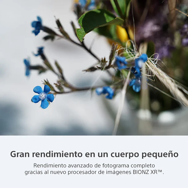Sony A7 CR Cámara Mirrorless 61 MP (Sin Lente) - ILCE-7CR E38  Color Negro 11