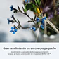 Sony A7 CR Cámara Mirrorless 61 MP (Sin Lente) - ILCE-7CR E38  - Miniatura 11