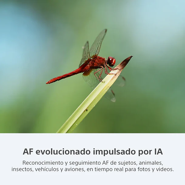 Sony A7 CR Cámara Mirrorless 61 MP (Sin Lente) - ILCE-7CR E38  Color Negro 12