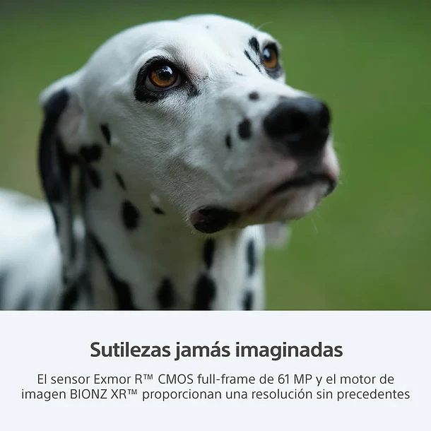 Sony A7R V Cámara de Alta Resolución Full Frame (solo cuerpo) - ILCE-7RM5 E38  5