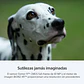 Sony A7R V Cámara de Alta Resolución Full Frame (solo cuerpo) - ILCE-7RM5 E38  - Miniatura 5