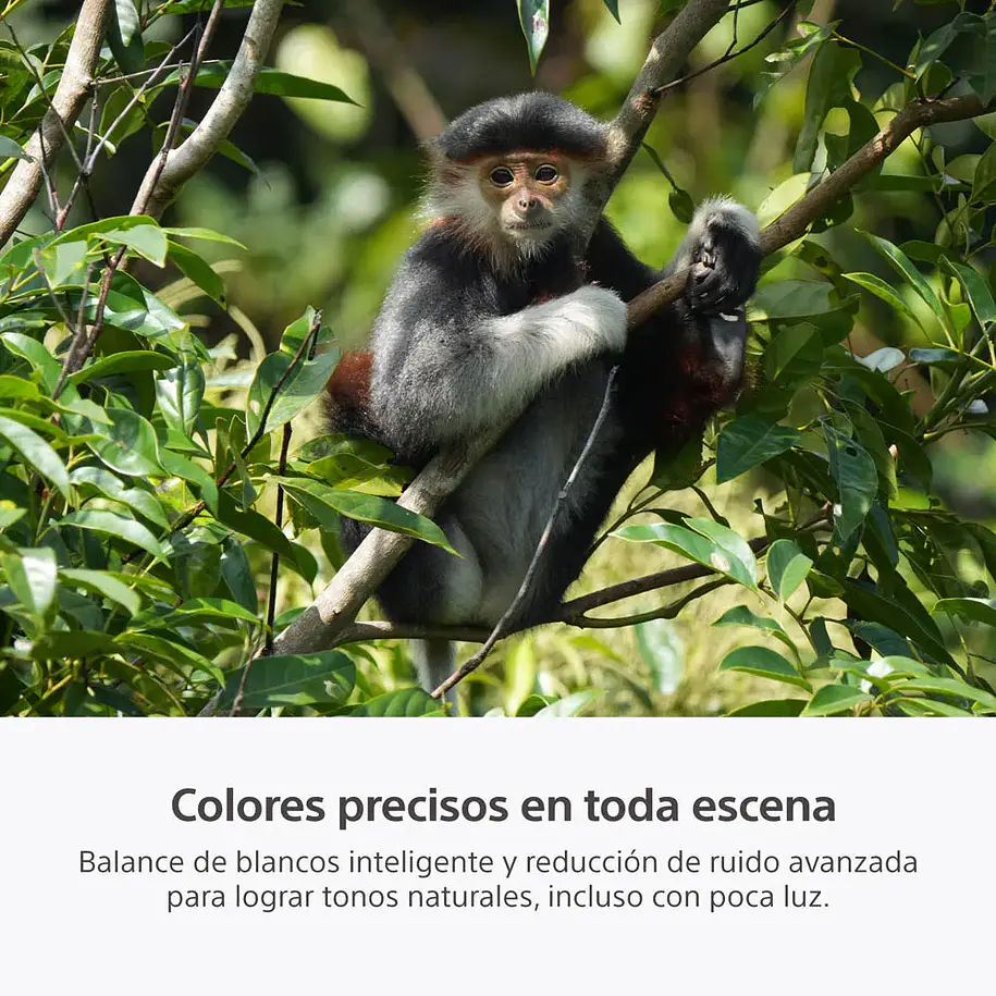 Sony A7R VI Cámara de Alta Resolución Full Frame - ILCE7RM6B.E38  10