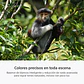 Sony A7R VI Cámara de Alta Resolución Full Frame - ILCE7RM6B.E38  - Miniatura 10