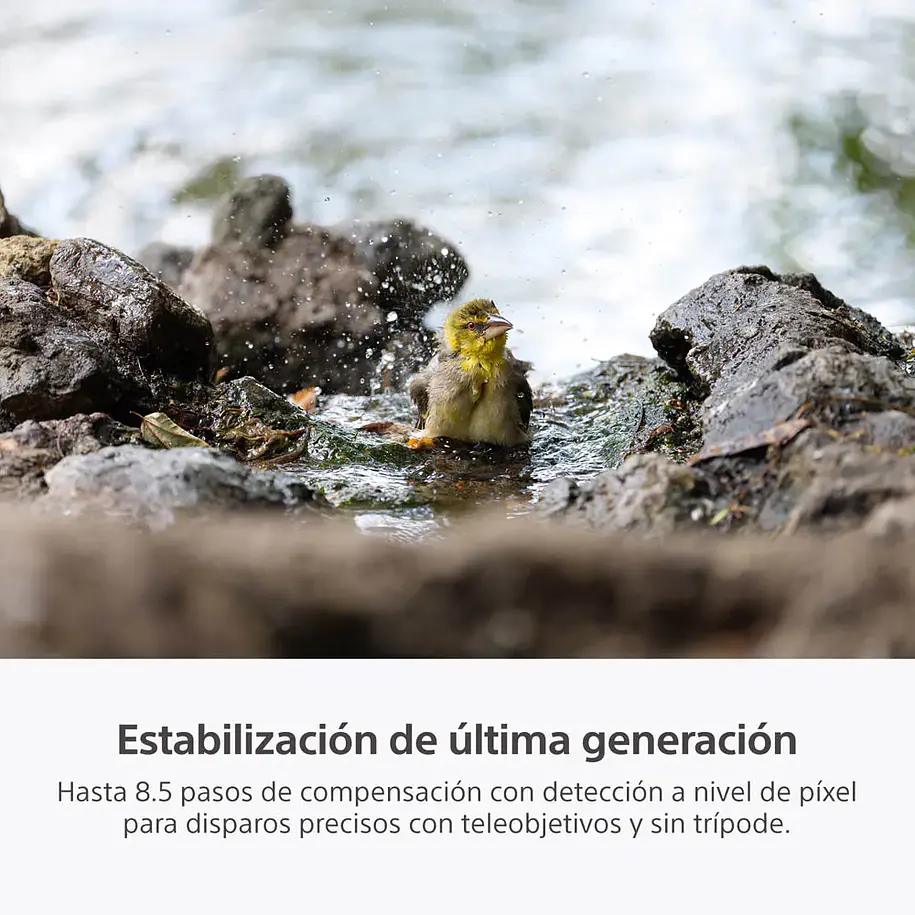 Sony A7R VI Cámara de Alta Resolución Full Frame - ILCE7RM6B.E38  11