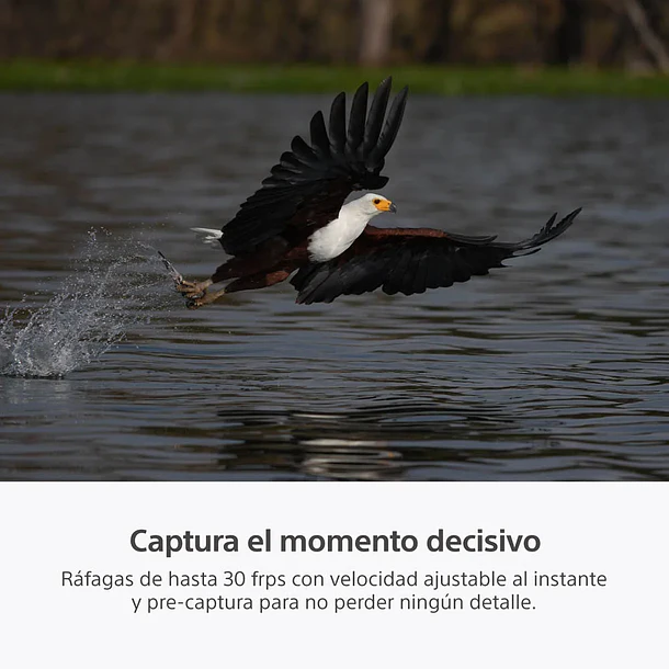 Sony A7R VI Cámara de Alta Resolución Full Frame - ILCE7RM6B.E38  12