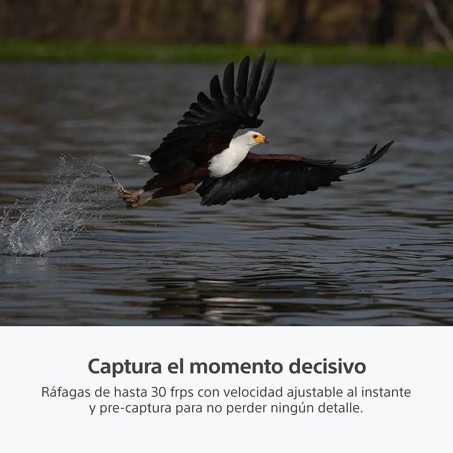 Sony A7R VI Cámara de Alta Resolución Full Frame - ILCE7RM6B.E38  12