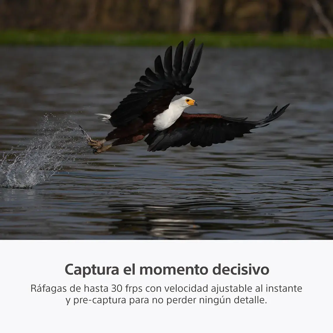 Sony A7R VI Cámara de Alta Resolución Full Frame - ILCE7RM6B.E38  12