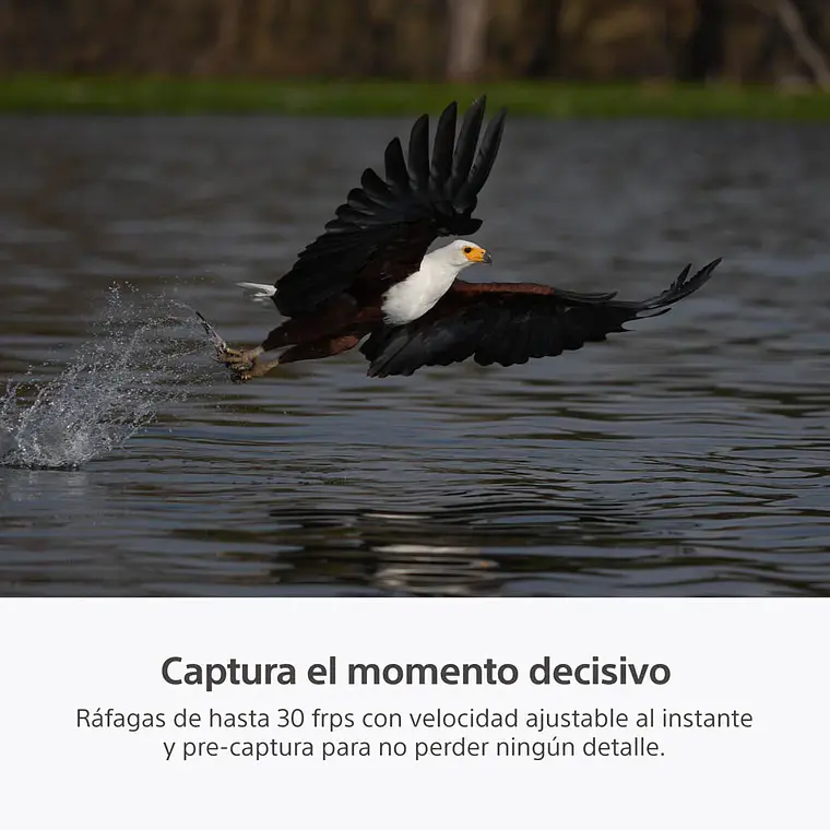 Sony A7R VI Cámara de Alta Resolución Full Frame - ILCE7RM6B.E38  12