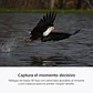 Sony A7R VI Cámara de Alta Resolución Full Frame - ILCE7RM6B.E38  - Miniatura 12