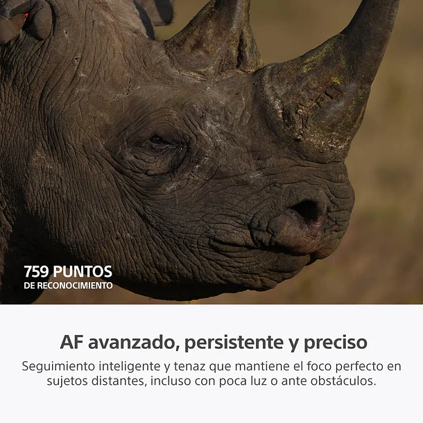 Sony A7R VI Cámara de Alta Resolución Full Frame - ILCE7RM6B.E38  13