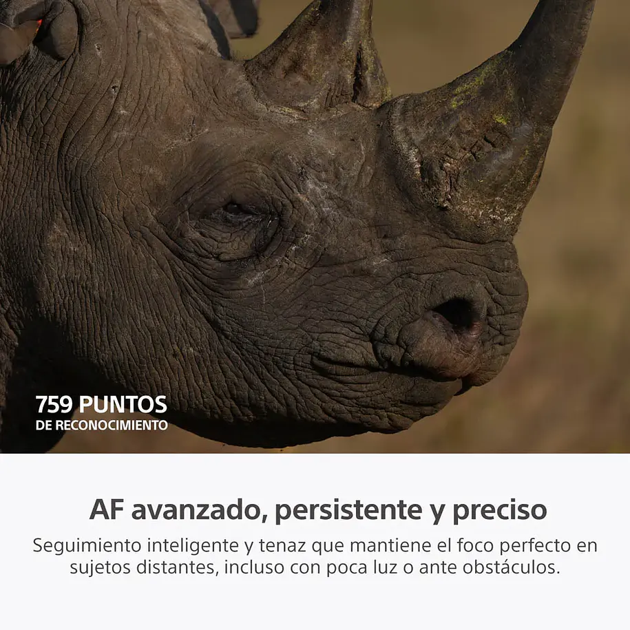 Sony A7R VI Cámara de Alta Resolución Full Frame - ILCE7RM6B.E38  13