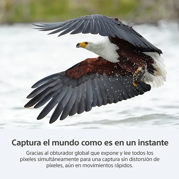 Sony A9 III Con Obturador Global 120fps - ILCE-9M3/BQ  6