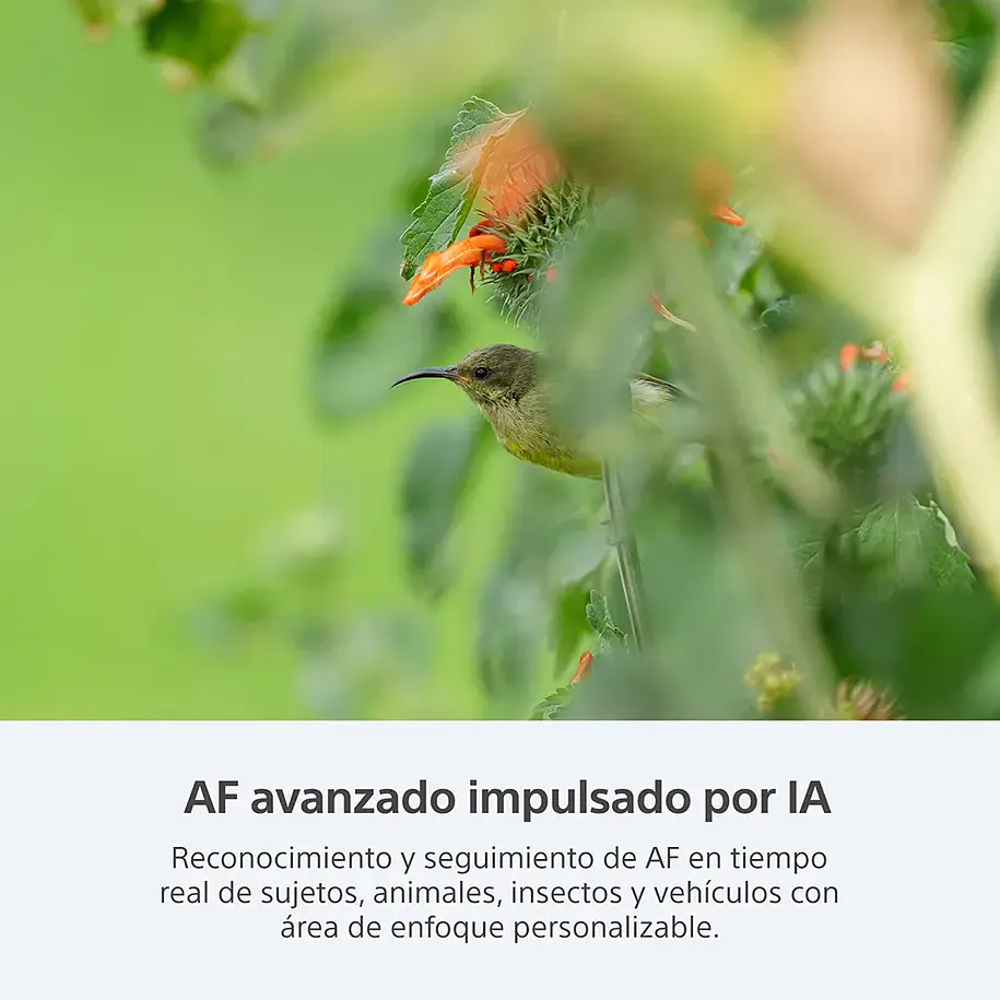 Sony A9 III Con Obturador Global 120fps - ILCE-9M3/BQ  9