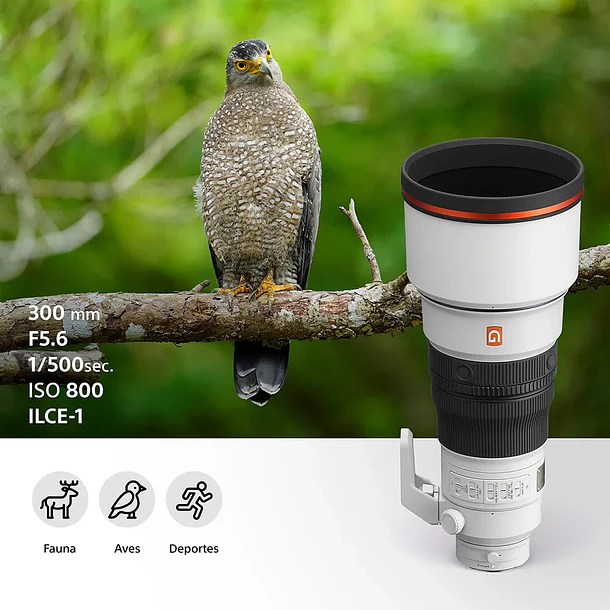 Sony FE 300mm F2.8 GM OSS Lente Teleobjetivo Full Frame - SEL300F28GM 14