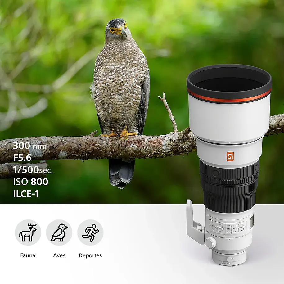 Sony FE 300mm F2.8 GM OSS Lente Teleobjetivo Full Frame - SEL300F28GM 14