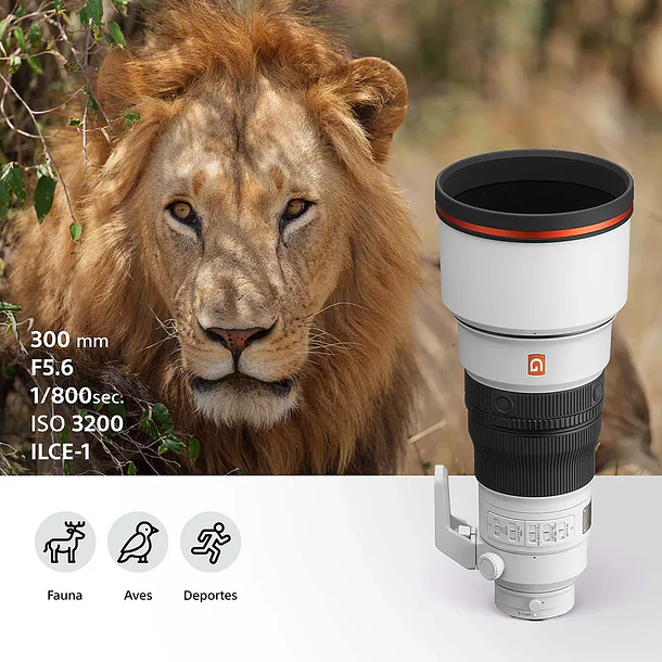 Sony FE 300mm F2.8 GM OSS Lente Teleobjetivo Full Frame - SEL300F28GM 15