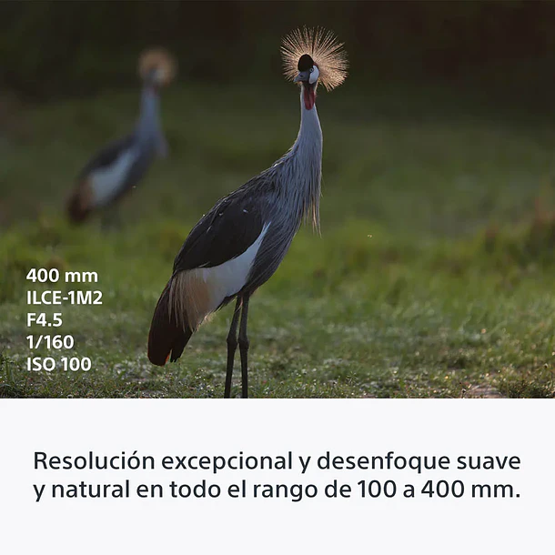 Sony FE 100-400 mm F4.5 GM OSS Lente Zoom Teleobjetivo – SEL100400MCW.SYX 9