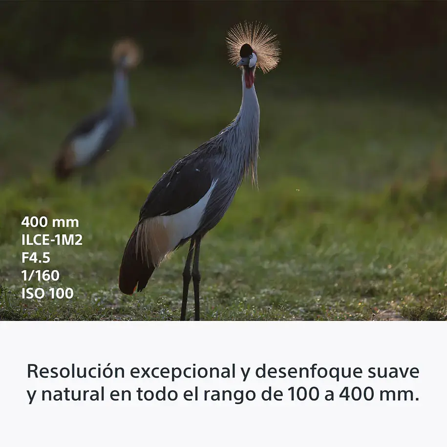 Sony FE 100-400 mm F4.5 GM OSS Lente Zoom Teleobjetivo – SEL100400MCW.SYX 9