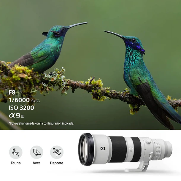 Sony FE 400-800 mm F6.3-8 G OSS Lente Zoom Teleobjetivo – SEL400800G.SOLA 7