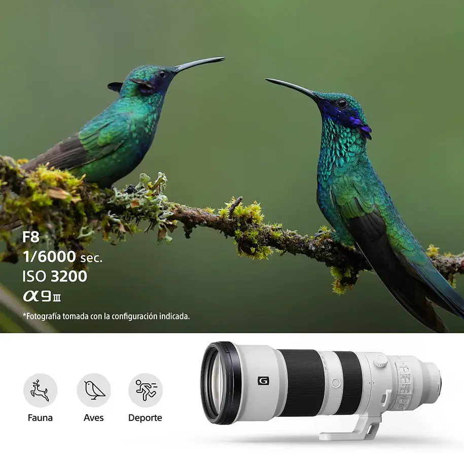 Sony FE 400-800 mm F6.3-8 G OSS Lente Zoom Teleobjetivo – SEL400800G.SOLA 7
