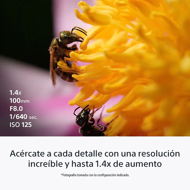 Sony FE 100 mm F2.8 Macro GM OSS Lente Semi Teleobjetivo - SEL100M28GM.SOLA  10