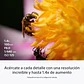 Sony FE 100 mm F2.8 Macro GM OSS Lente Semi Teleobjetivo - SEL100M28GM.SOLA  - Miniatura 10