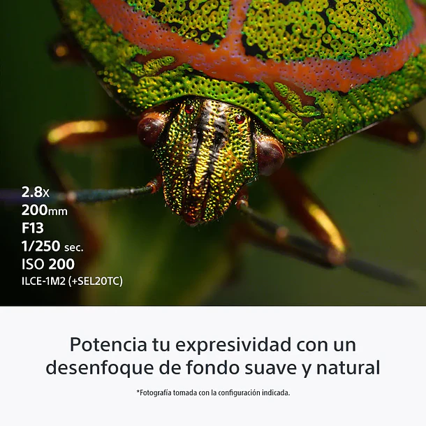 Sony FE 100 mm F2.8 Macro GM OSS Lente Semi Teleobjetivo - SEL100M28GM.SOLA  11