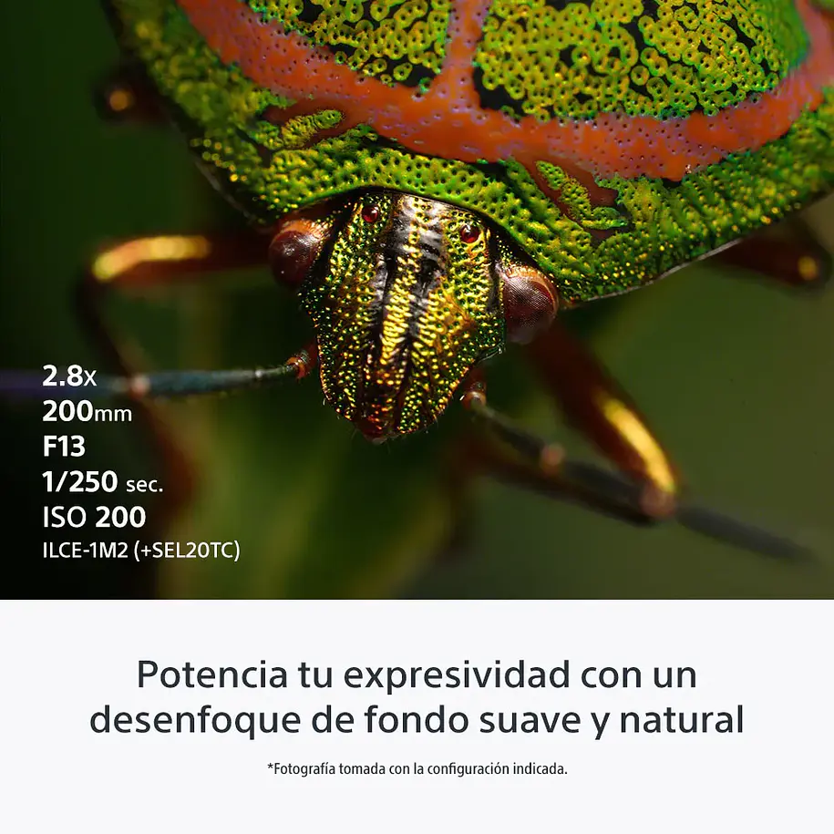 Sony FE 100 mm F2.8 Macro GM OSS Lente Semi Teleobjetivo - SEL100M28GM.SOLA  11