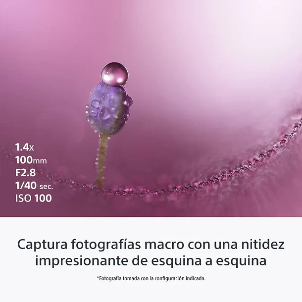 Sony FE 100 mm F2.8 Macro GM OSS Lente Semi Teleobjetivo - SEL100M28GM.SOLA  12