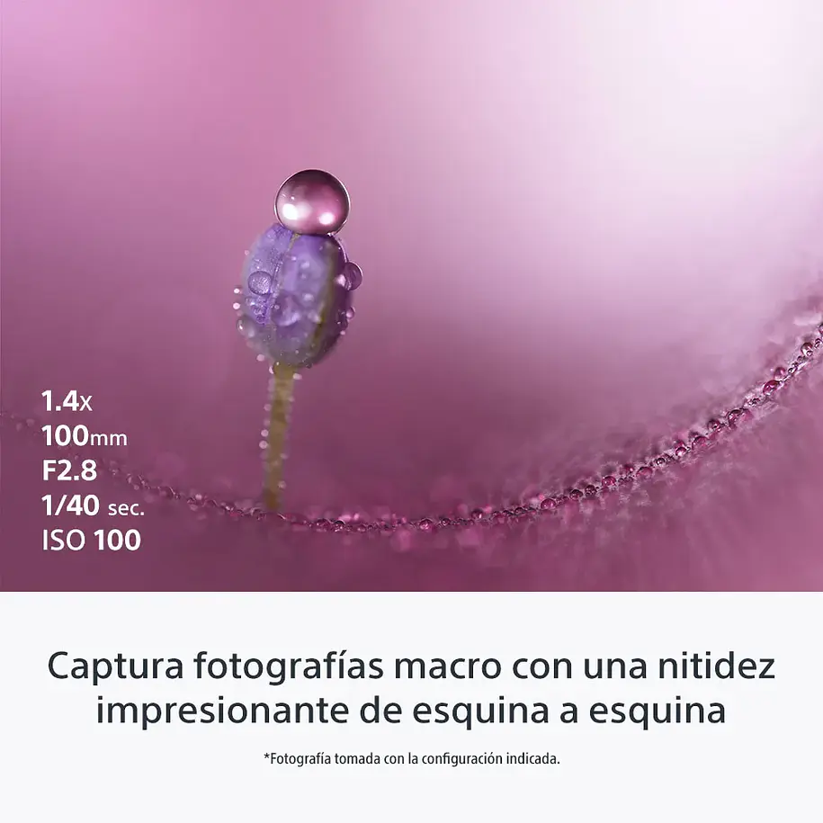 Sony FE 100 mm F2.8 Macro GM OSS Lente Semi Teleobjetivo - SEL100M28GM.SOLA  12