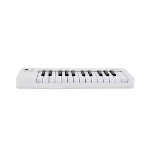 Arturia Microlab mk3 White - Controlador midi