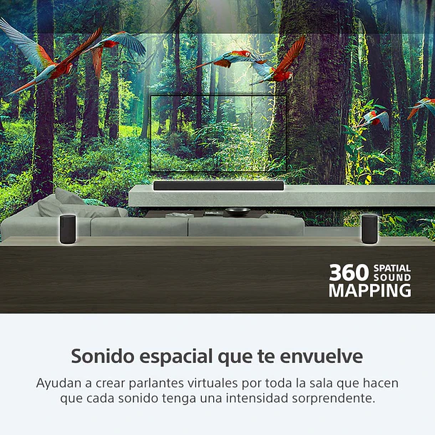 Sony SA-RS3S Parlantes Posteriores Inalámbricos Complementarios de 100 W 3