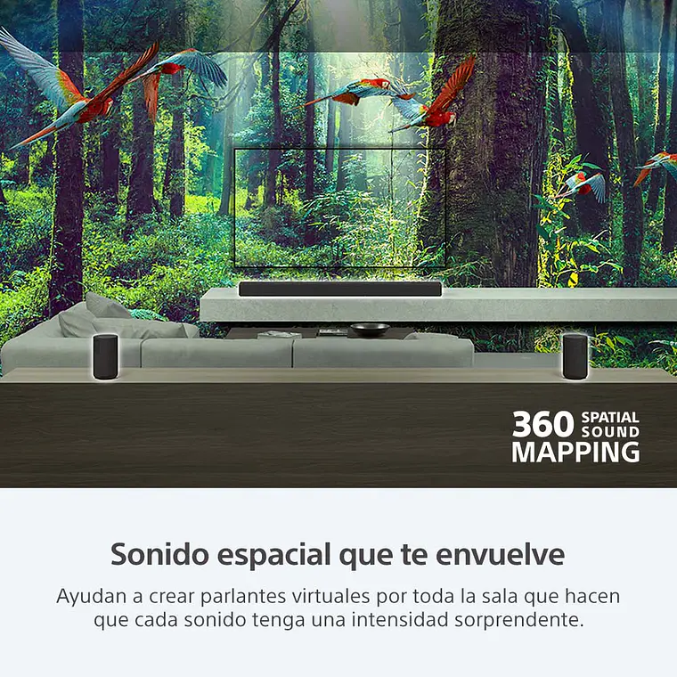 Sony SA-RS3S Parlantes Posteriores Inalámbricos Complementarios de 100 W 3