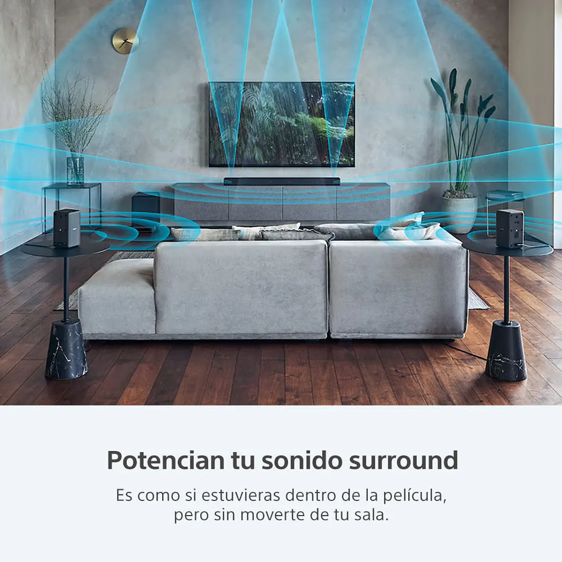 Sony SA-RS3S Parlantes Posteriores Inalámbricos Complementarios de 100 W 4