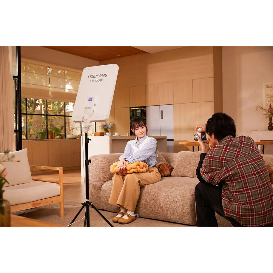 Godox Litemons LP800BI Panel Led Bicolor 13