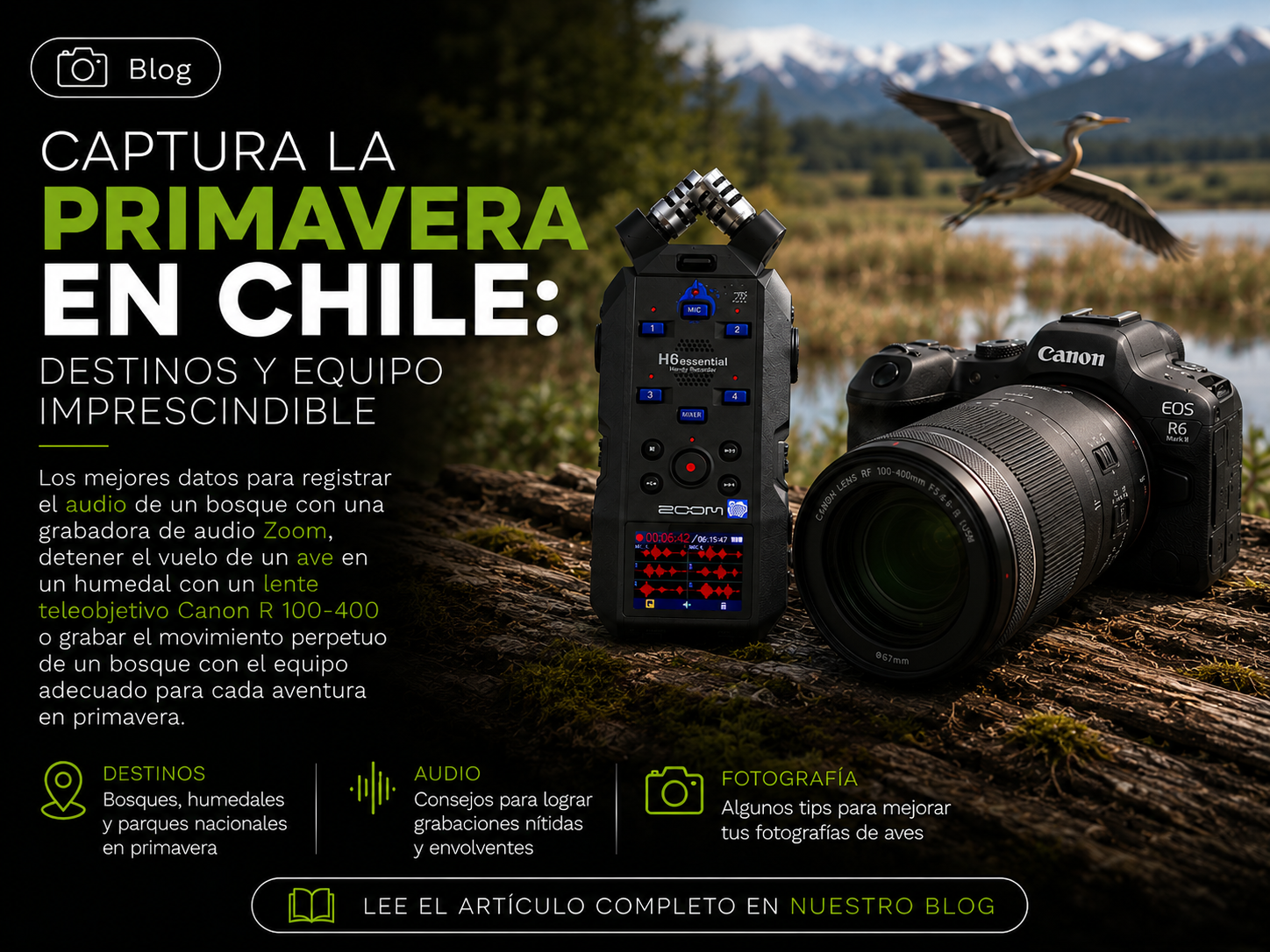 Captura la Primavera en Chile, Destinos y Equipo Imprescindible