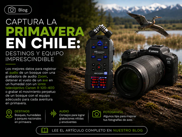 Captura la Primavera en Chile, Destinos y Equipo Imprescindible