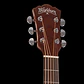 Washburn AD5CEPACK-A-U Pack de Guitarra Electroacústica Dreadnought Cutaway - Thumbnail 12