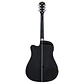 Washburn AD5CEBPACK-A-U Pack de Guitarra Electroacústica Dreadnought Cutaway Black - Thumbnail 6