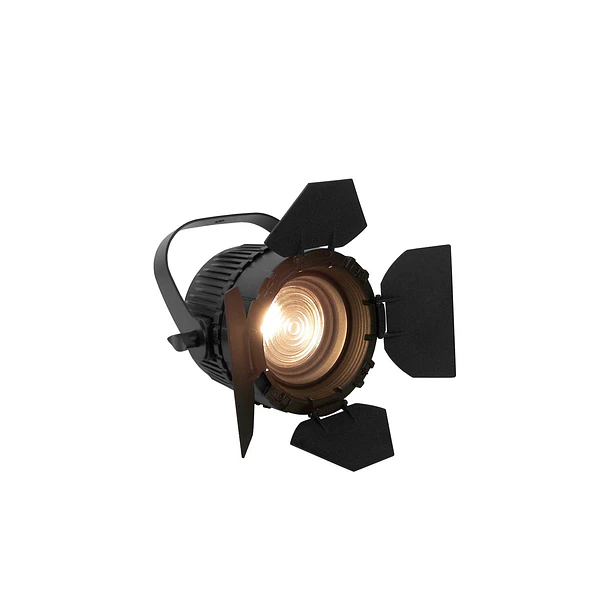 Event Lighting F96VW Luz Fresnell 2X48W, LED, DMX 1