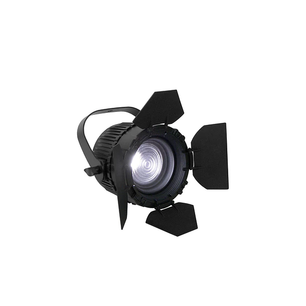 Event Lighting F96VW Luz Fresnell 2X48W, LED, DMX 3