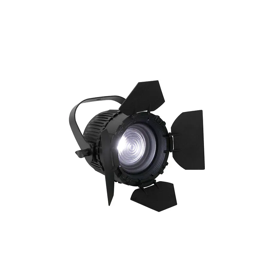 Event Lighting F96VW Luz Fresnell 2X48W, LED, DMX 3