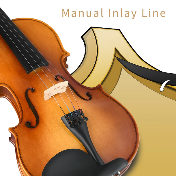Donner Eastar EVA-330 Violín 4/4 de Madera Maciza Set Completo con Dos Arcos EB0217 3