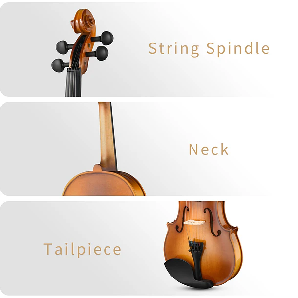 Donner Eastar EVA-330 Violín 4/4 de Madera Maciza Set Completo con Dos Arcos EB0217 5