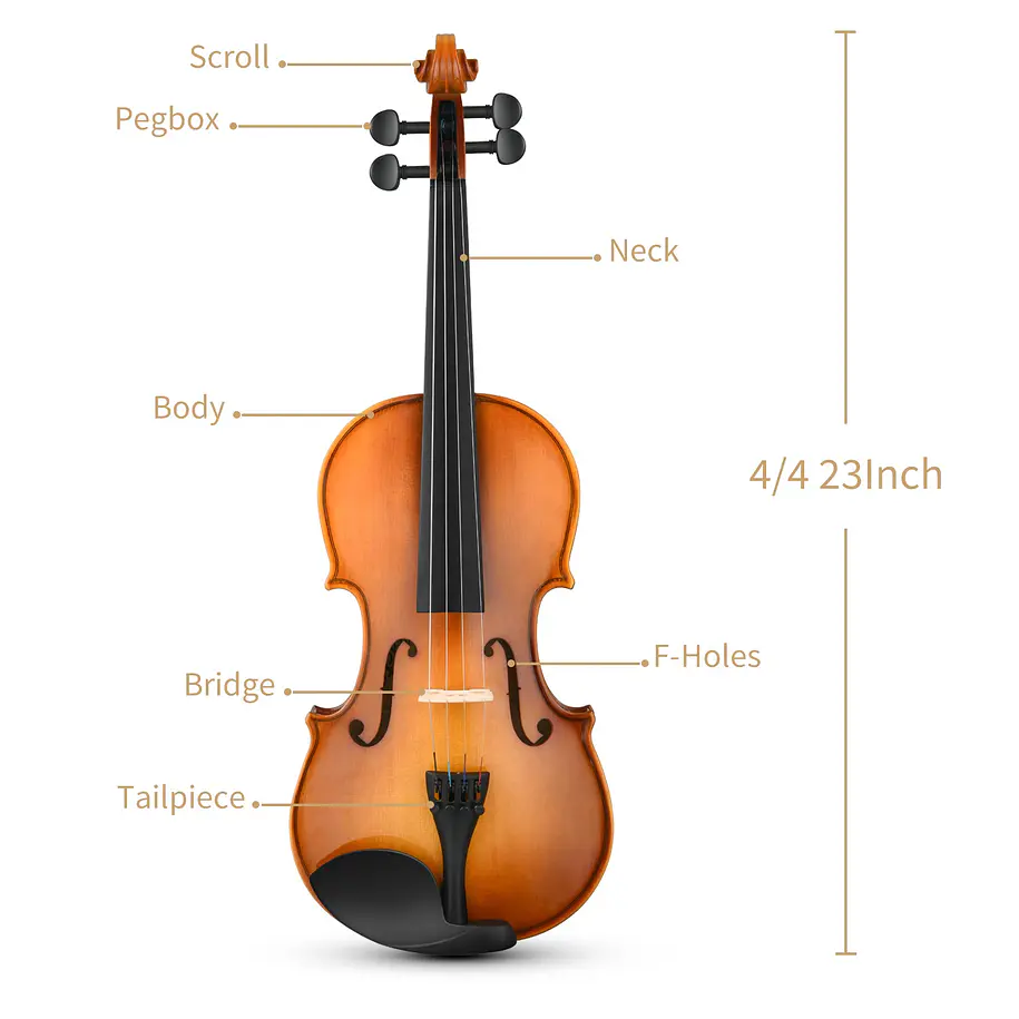 Donner Eastar EVA-330 Violín 4/4 de Madera Maciza Set Completo con Dos Arcos EB0217 6